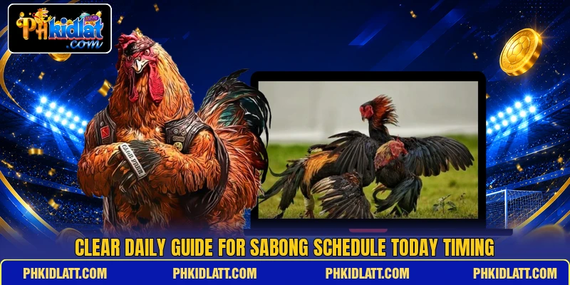 Clear daily guide for Sabong Schedule Today timing Clear daily guide for Sabong Schedule Today timing
